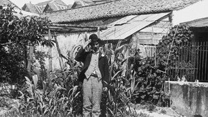 Pratas, o Conquistador háttérkép