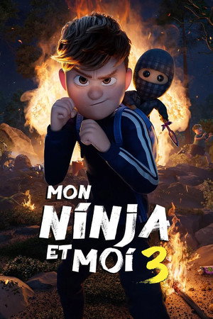 Ternet Ninja 3 poszter