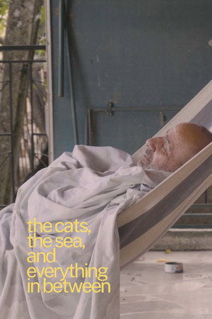The cats, the sea, and everything in between. poszter