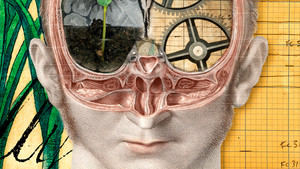 The Divided Brain háttérkép