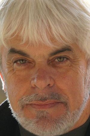 Valerio Massimo Manfredi profil kép