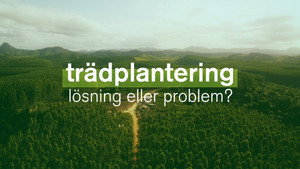 Planter à tout prix - Des arbres pour sauver la planète ? háttérkép