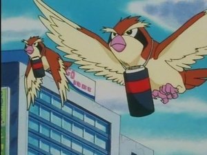 Pokémon 4. évad Ep.7 7. epizód