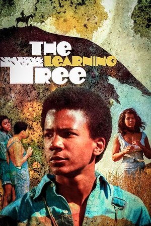 The Learning Tree poszter