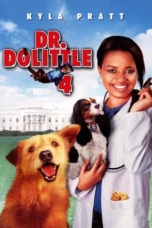 Dr. Dolittle - Apja lánya poszter