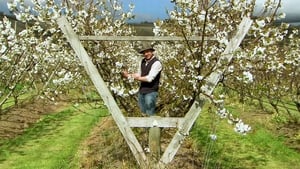 Gardening Australia Season 29 Ep.39 39. epizód