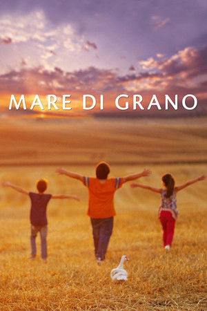 Mare di grano poszter