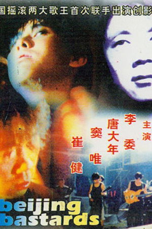 北京杂种 poszter