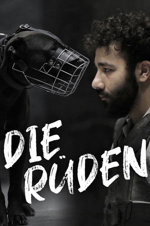 Die Rüden poszter