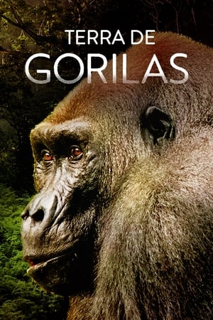 Gorillák vonzásában poszter