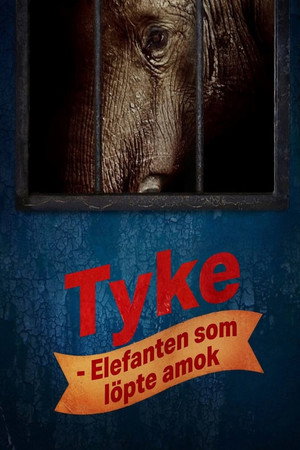 Tyke Elephant Outlaw poszter