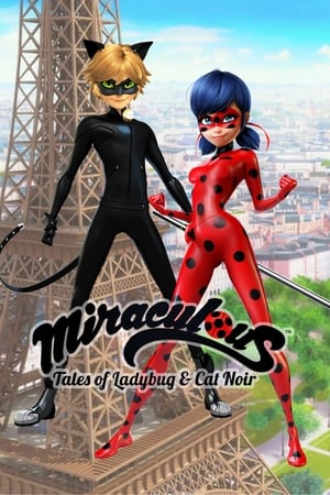 Miraculous - Katicabogár és Fekete Macska kalandjai poszter