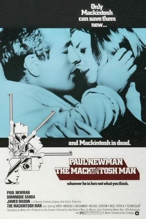 The MacKintosh Man poszter