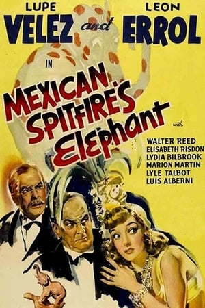 Mexican Spitfire's Elephant poszter