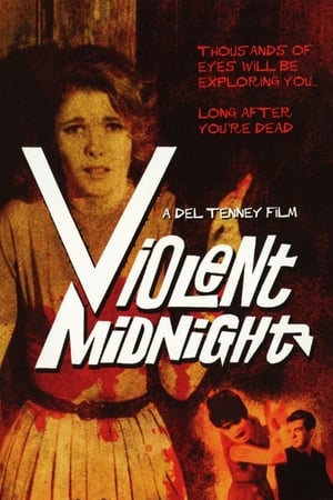 Violent Midnight poszter