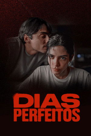 Dias Perfeitos poszter