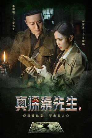 真探秦先生
