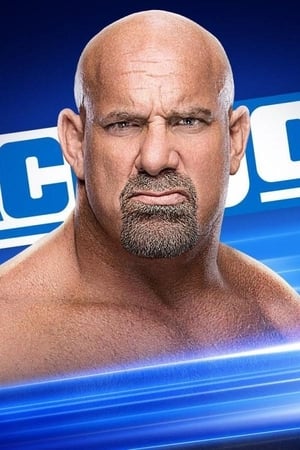 WWE SmackDown poszter