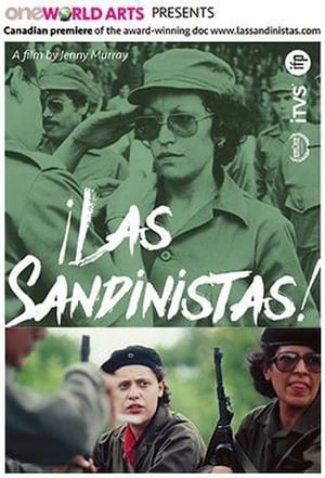 ¡Las Sandinistas! poszter