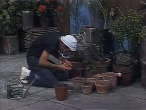 El Chavo del Ocho Season 6 Ep.9 9. epizód