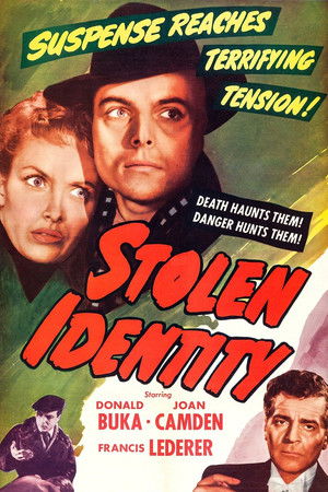 Stolen Identity poszter