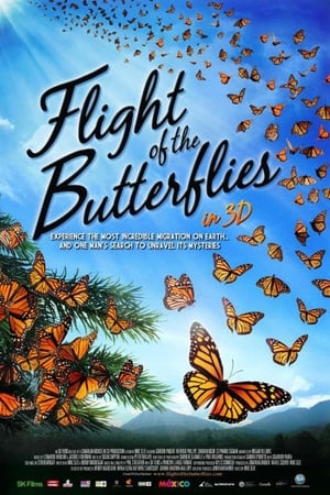 Flight of the Butterflies poszter