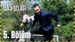 Baş Belası 1. évad Ep.5 5. epizód