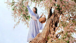 七时吉祥 kép