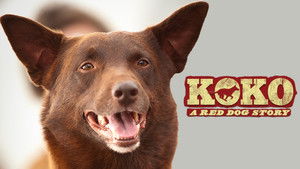 Koko: A Red Dog Story háttérkép
