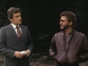 Falcon Crest 3. évad Ep.28 28. epizód