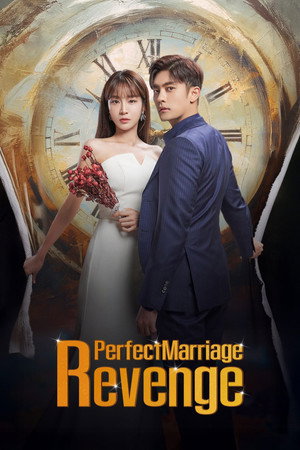 완벽한 결혼의 정석 poszter