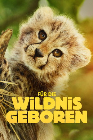 Born to Be Wild poszter