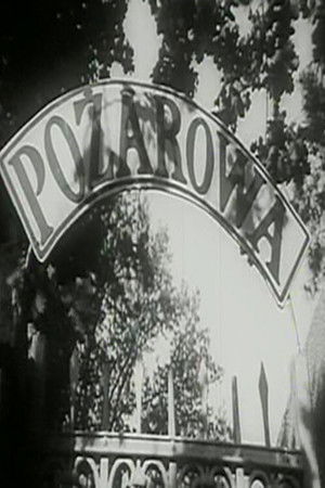 Pożarowisko poszter