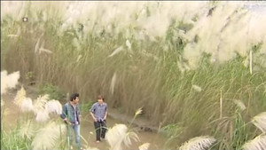 ၃၉ ဗိုက်ပူ háttérkép