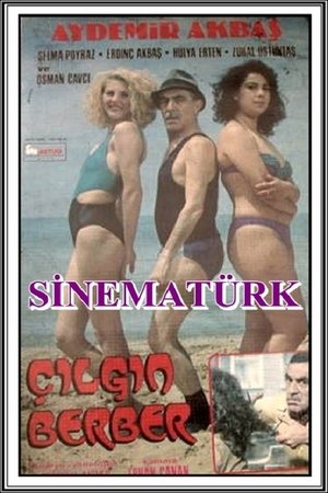 Çılgın Berber poszter