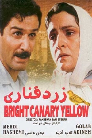 زرد قناری poszter