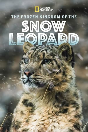 Le Royaume du léopard des neiges poszter