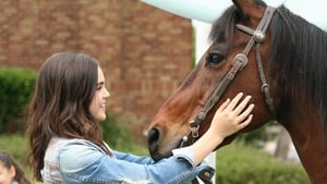 A Cowgirl's Story háttérkép