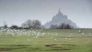 Mont Saint-Michel : le labyrinthe de l’archange háttérkép