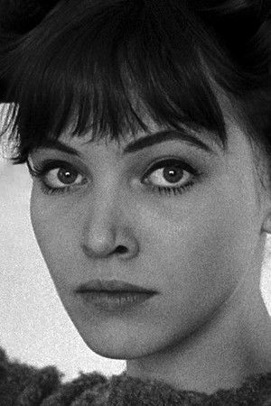 Anna Karina profil kép
