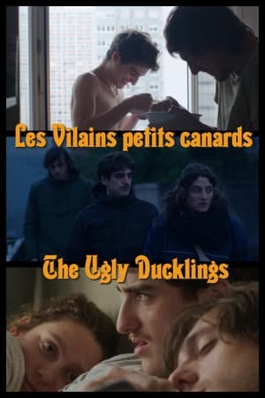 Les vilains petits canards poszter