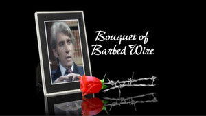 Bouquet of Barbed Wire háttérkép