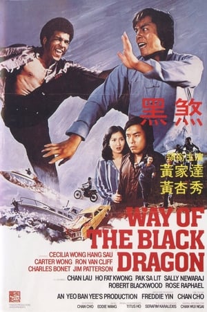 Way of the Black Dragon