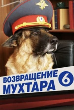 Возвращение Мухтара