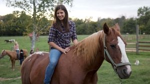 Horse Camp háttérkép