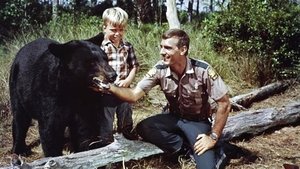 Gentle Ben kép