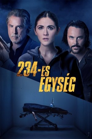234-es egység