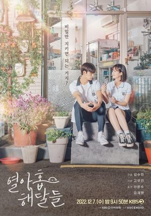 열아홉 해달들 poszter