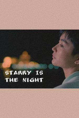 今夜星光燦爛 poszter