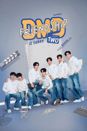DMD Friendship The Reality poszter